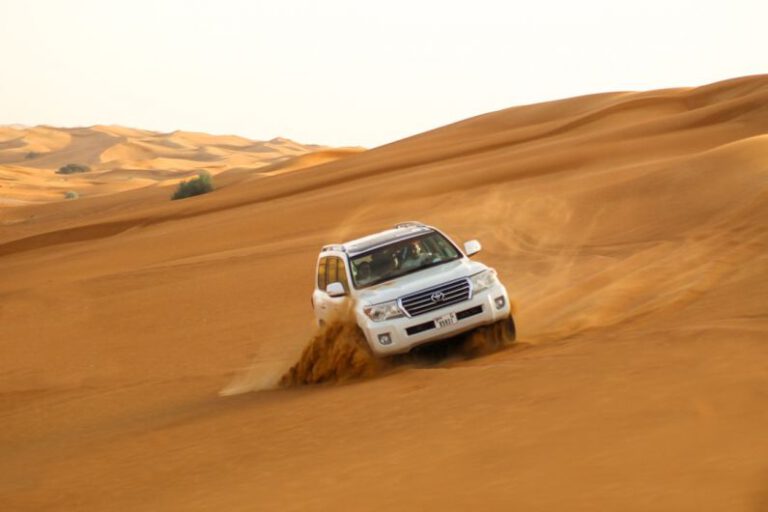 Sand and Speed: the Allure of Desert Safari Adventures